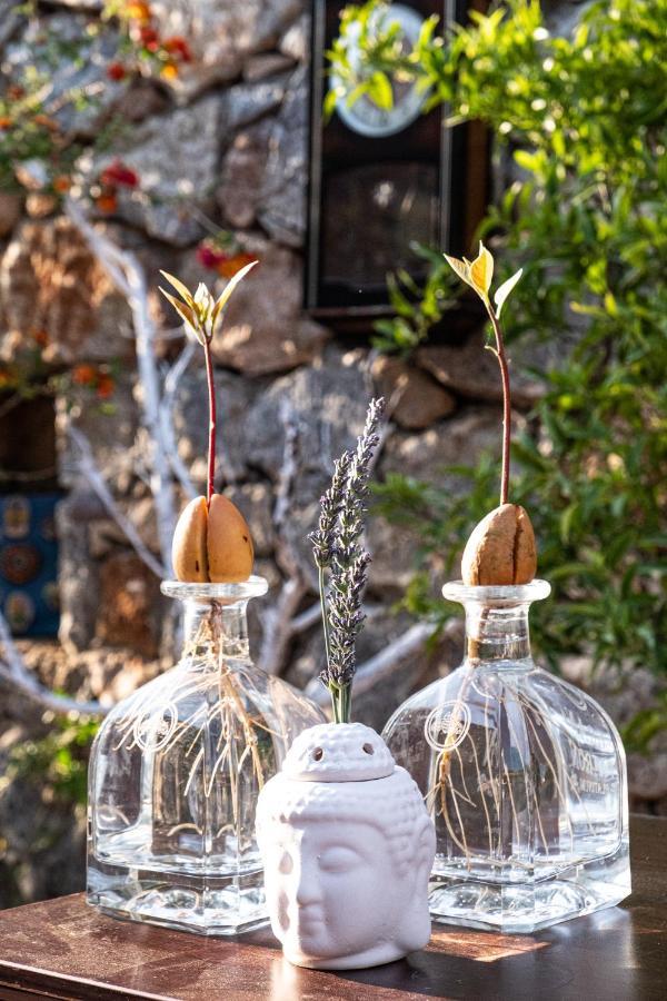 Casa Di Pietra Hotell Fethiye Eksteriør bilde